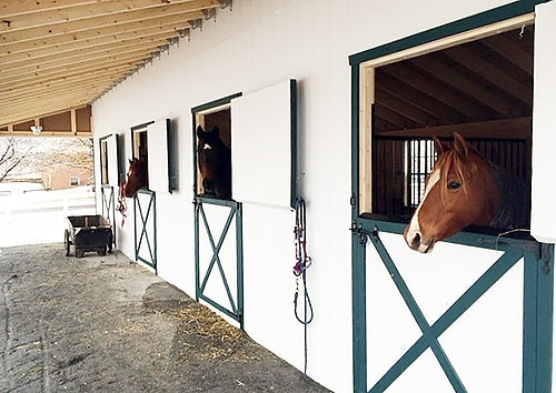 Embracing Tradition and Quality: Exploring the Benefits of Amish-Made Shed-Row Horse Barns