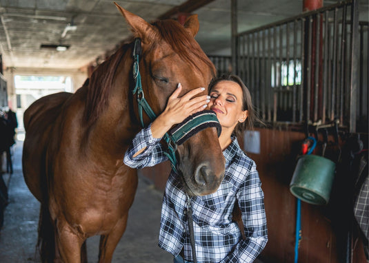 The Ultimate Guide to Building Your Dream Horse Barn