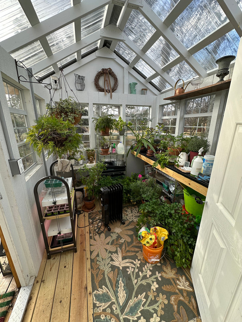 Load image into Gallery viewer, Cottage Greenhouse

