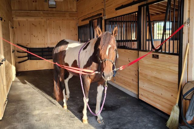 Load image into Gallery viewer, High Profile Center Aisle Horse Barn
