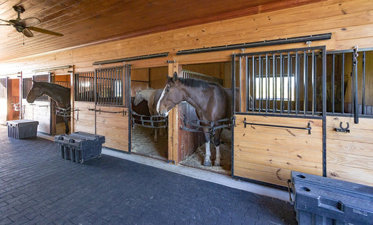 High Profile Center Aisle Horse Barn